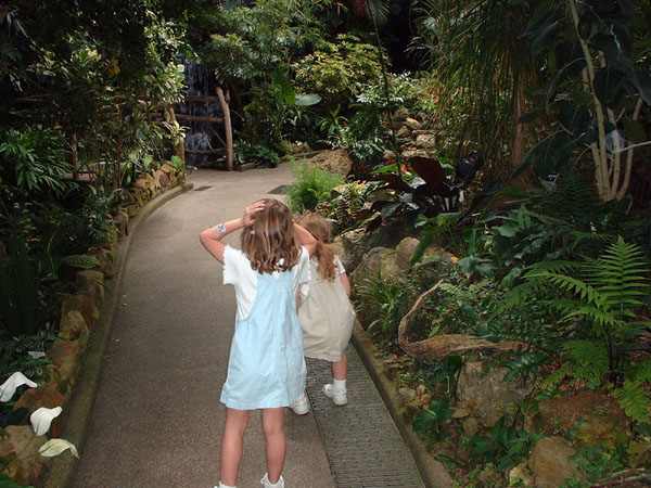 The girls see the waterfall for hte first time.jpg 106.1K